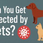 Can You Get Infected by Pets?